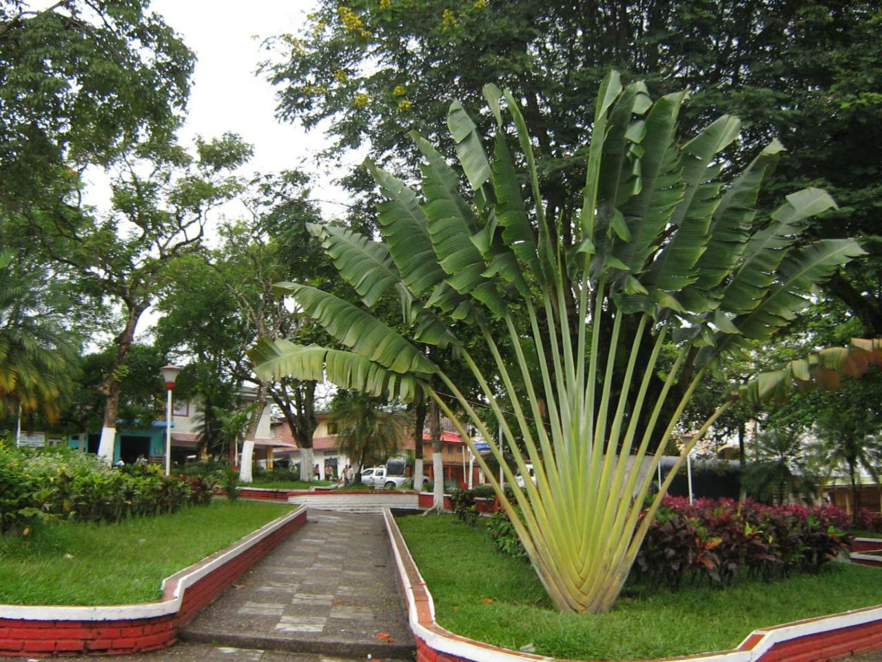 Hotel Casa Trujillo Norcasia Esterno foto